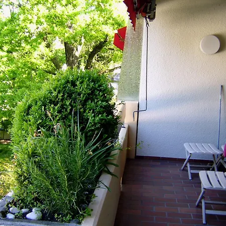 Appartementhaus Im Gruen Bad Bellingen Exterior photo