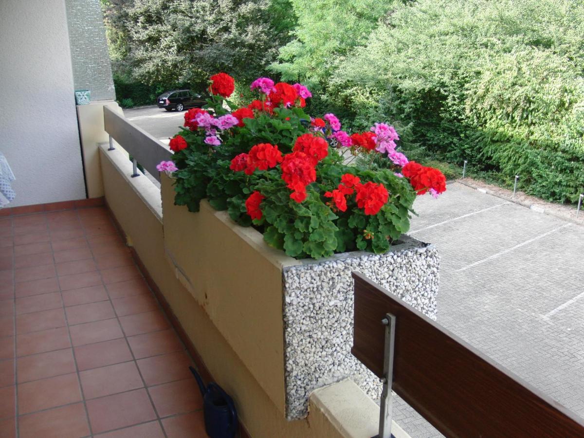 Appartementhaus Im Gruen Apartment *