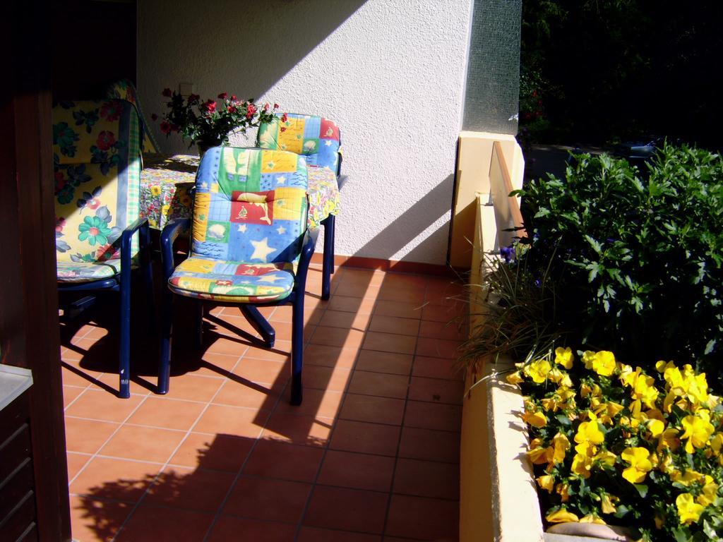 Apartment Appartementhaus Im Gruen Bad Bellingen